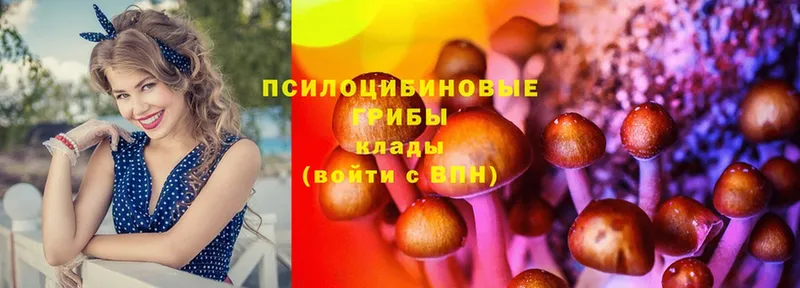 купить  сайты  Мирный  Галлюциногенные грибы прущие грибы 